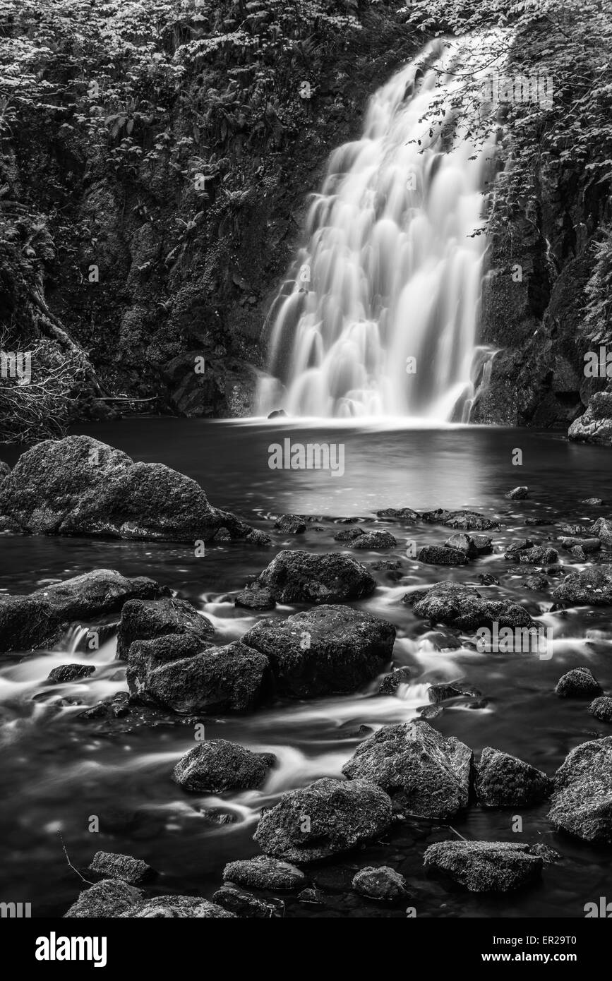 Glenoe cascata, County Antrim, Irlanda del Nord Foto Stock