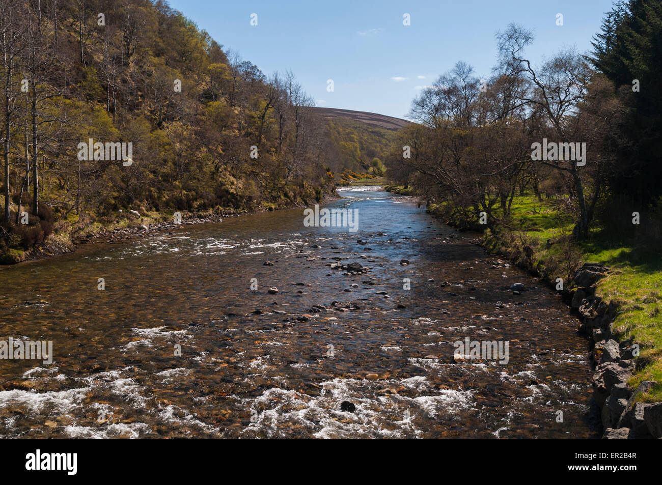 Cercando il fiume Avon a Delnabo, Strathspey, Cairngorms National Park, Scozia Foto Stock