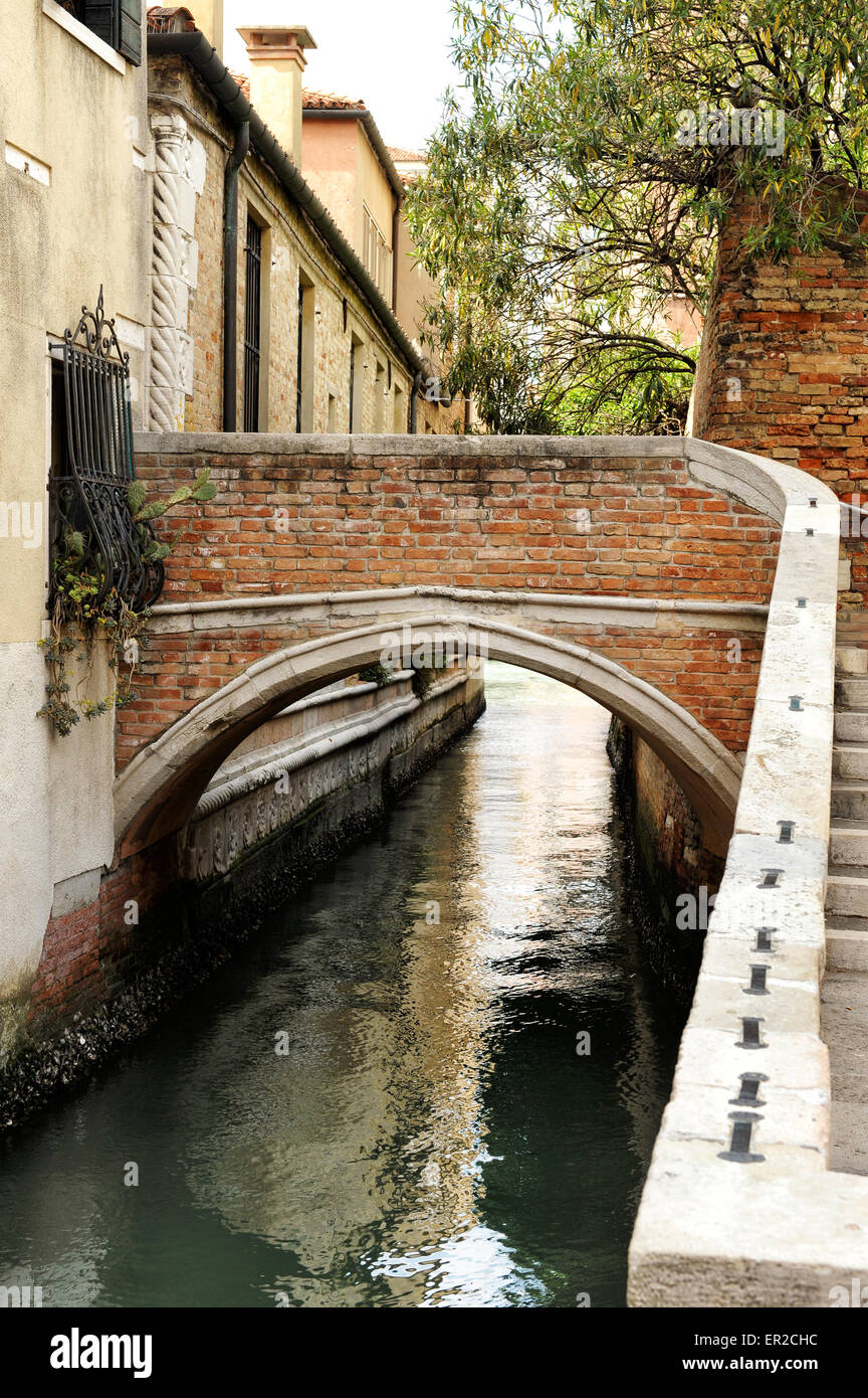 Piccoli piedi arcuato ponte sullo stretto canale foderato con case, Venezia, Italia Foto Stock