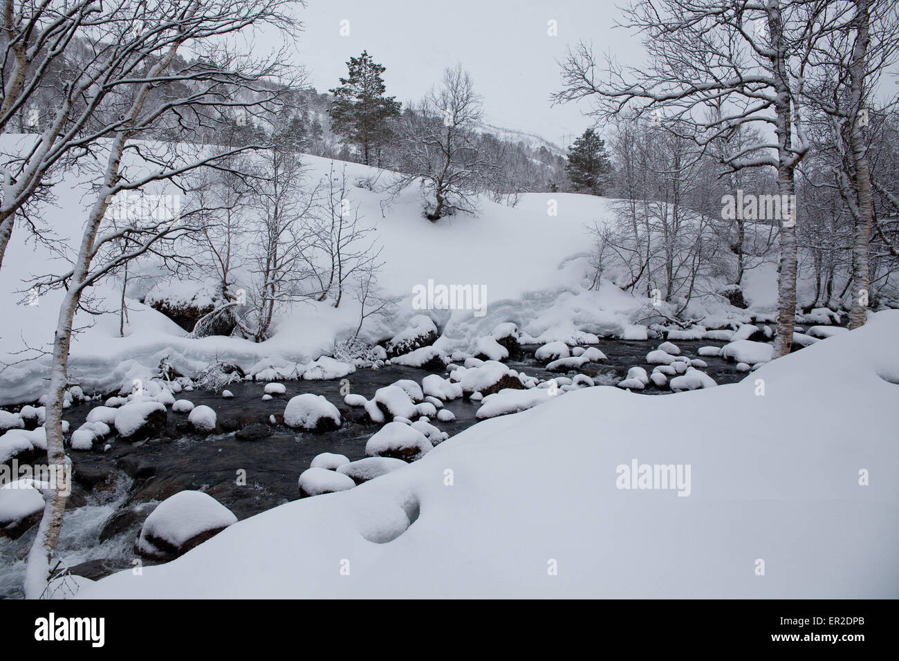 Flusso di fiume e la neve in Vengedalen, Rauma kommune, Møre og Romsdal, Norvegia. Foto Stock