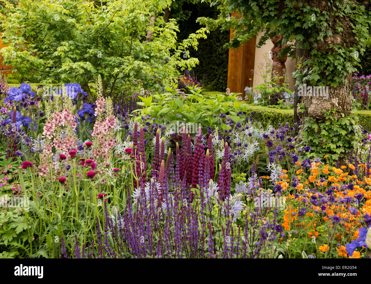 Un territorio densamente piantati sezione della Morgan Stanley Città Sane Giardino vincitore di una medaglia d oro al Chelsea Flower Show Foto Stock