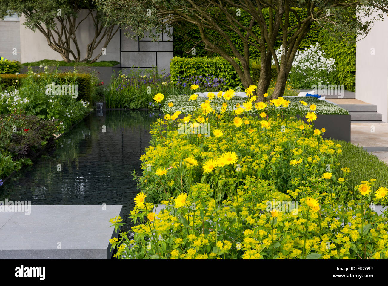 Il Telegraph giardino disegnato da Marcus Barnett e vincitore di una medaglia d oro al Chelsea Flower Show di Londra, Regno Unito 2015 Foto Stock