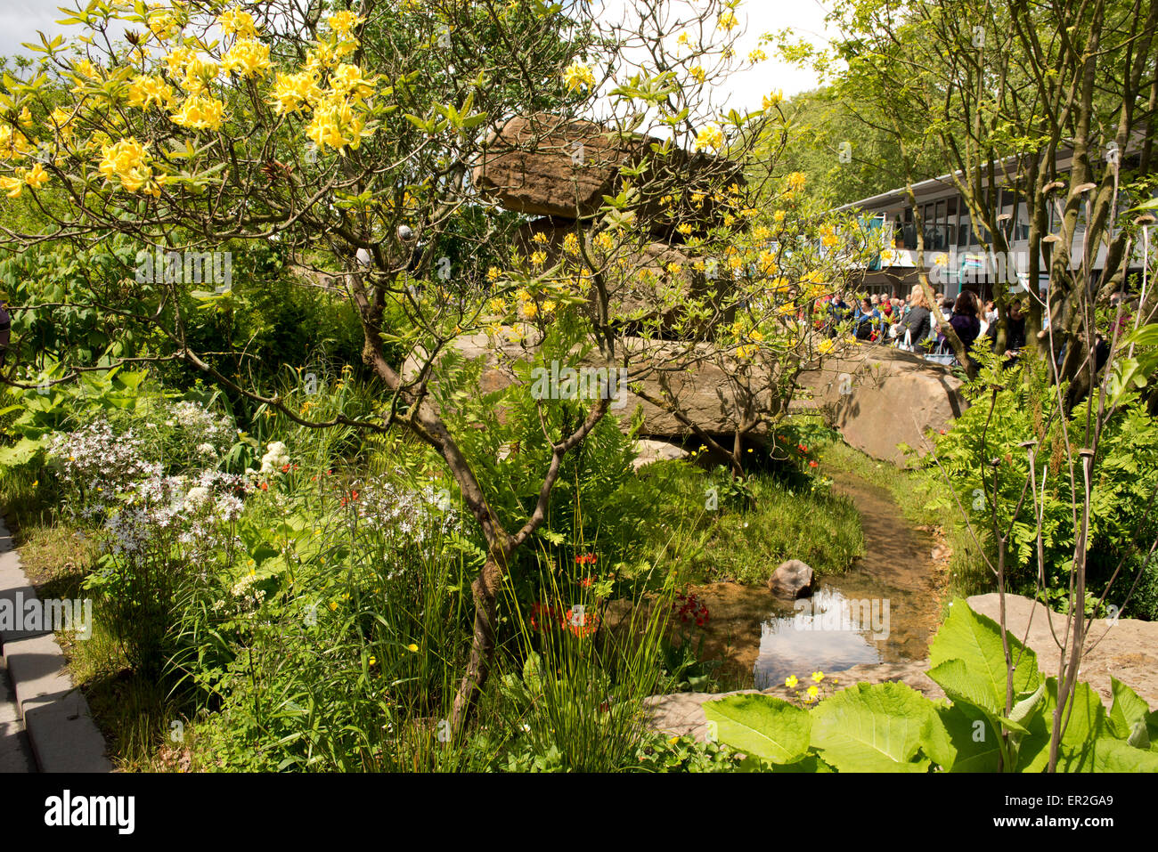 Il Laurent-Perrier Chatsworth giardino disegnato da Dan Pearson e vincitore del miglior spettacolo Premio Giardino della RHS Chelsea Flower Foto Stock