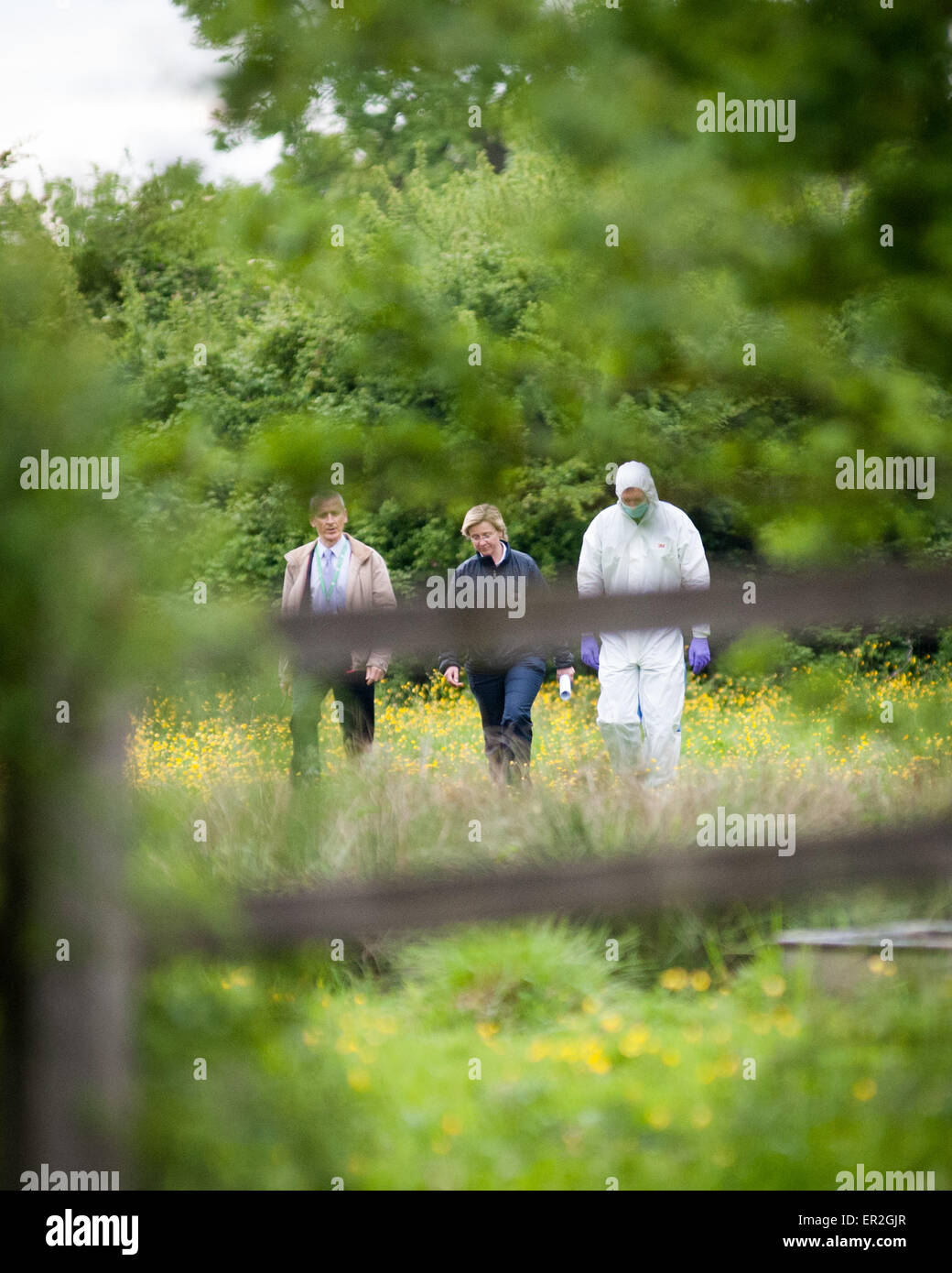 Forensics ufficiali e forze di polizia in una scena del crimine Oxford Regno Unito 2015 Foto Stock