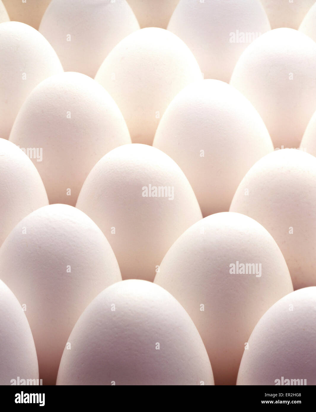 Uova di gallina, bianco, still life, il cibo, le uova, la stessa identica, fianco a fianco, molti, sfondo, i gusci d'uovo, colesterolo, proteina shap Foto Stock