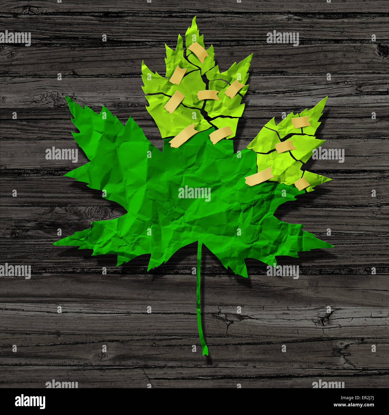 La conservazione dell'ambiente nozione come un taglio fuori rotta verde torne carta sgualcita riparata con del nastro adesivo come una conservazione di habitat di metafora e la protezione della natura per il clima globale ambiente e salute. Foto Stock