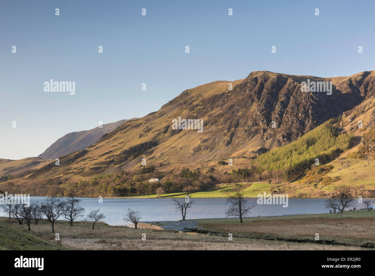 Vista su Buttermere alla rupe di capra e alta Snockrigg, inglese Parco Nazionale del Distretto dei Laghi Foto Stock
