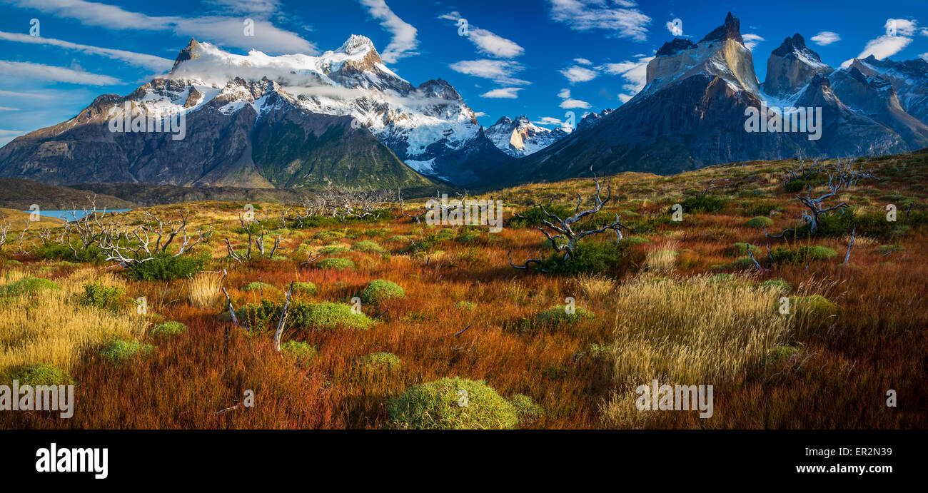 Los Cuernos che sovrasta il Lago Nordenskjold, Torres del Paine, Patagonia cilena Foto Stock