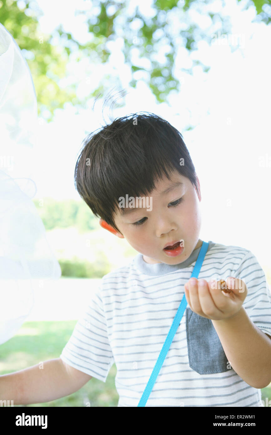Giapponese giovane ragazzo con butterfly net in un parco della città Foto Stock