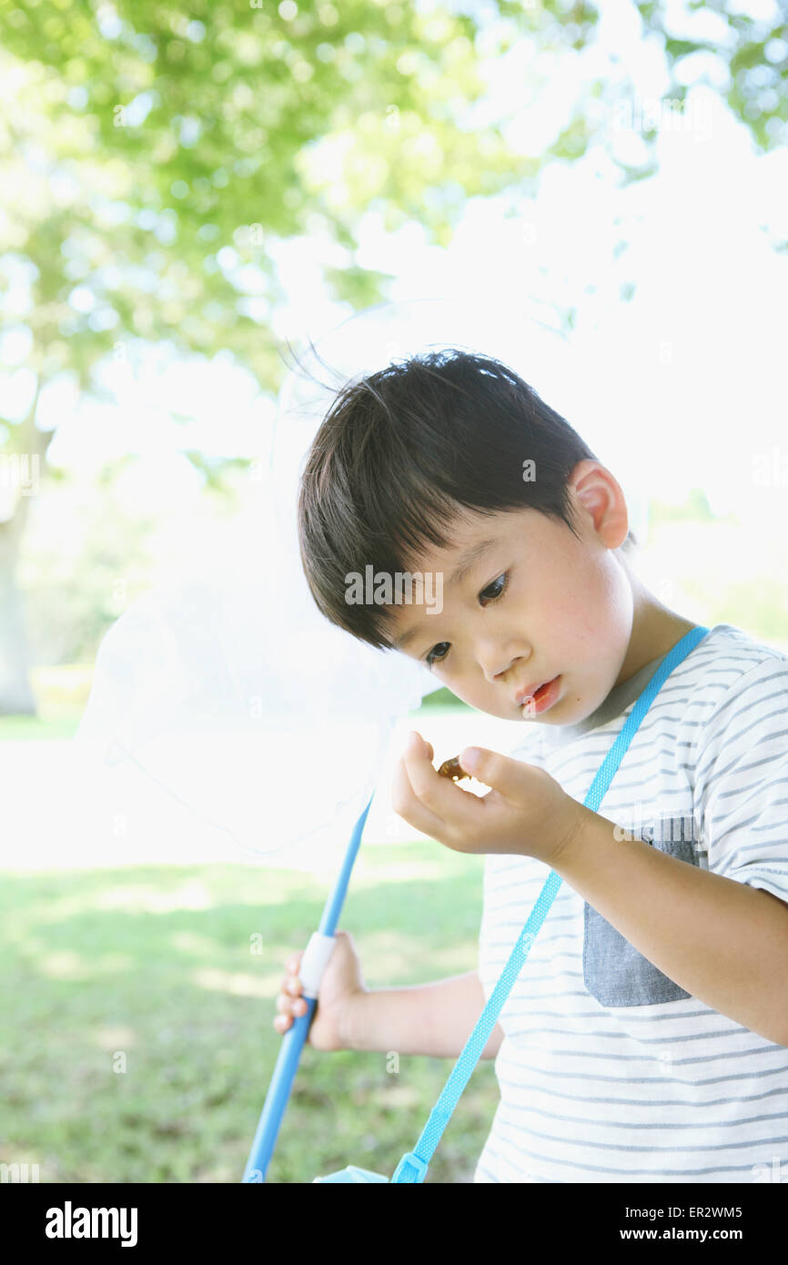 Giapponese giovane ragazzo con butterfly net in un parco della città Foto Stock
