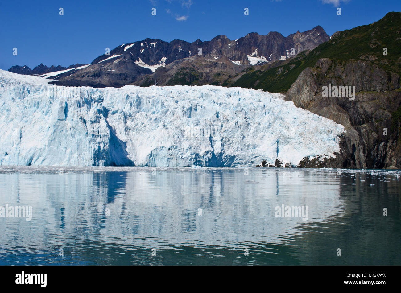 Aialik glacier, ghiacciaio di marea, il Parco nazionale di Kenai Fjords, Alaska Foto Stock