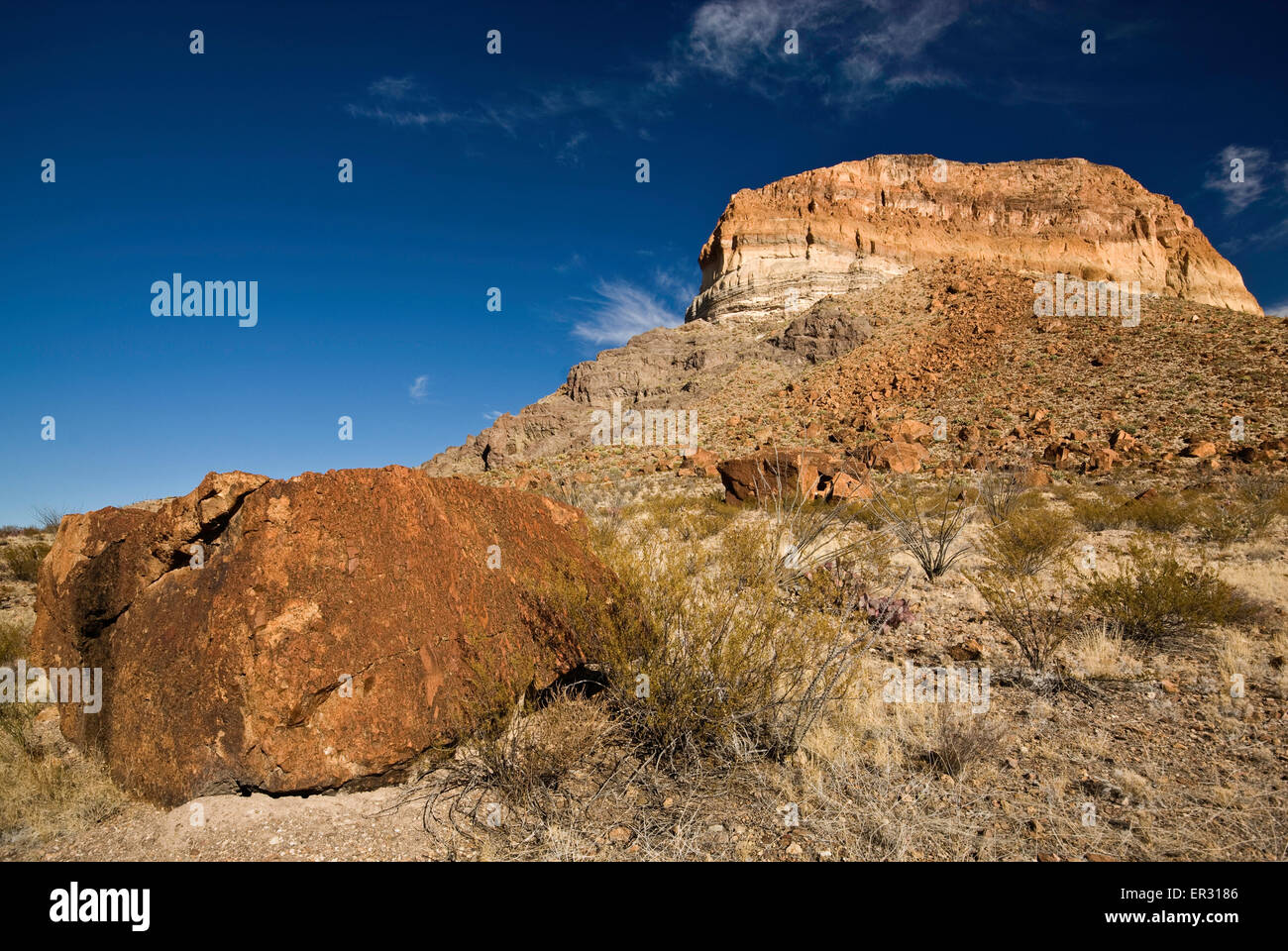 La roccia vulcanica, Cerro Castellan butte formazione a Ross Maxwell Scenic Drive, deserto del Chihuahuan nel Parco nazionale di Big Bend, Texas Foto Stock