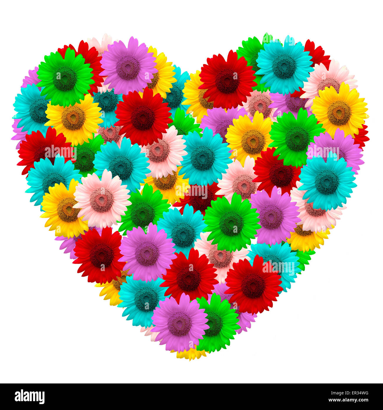 Forma di cuore di girasole colorato su sfondo bianco Foto Stock