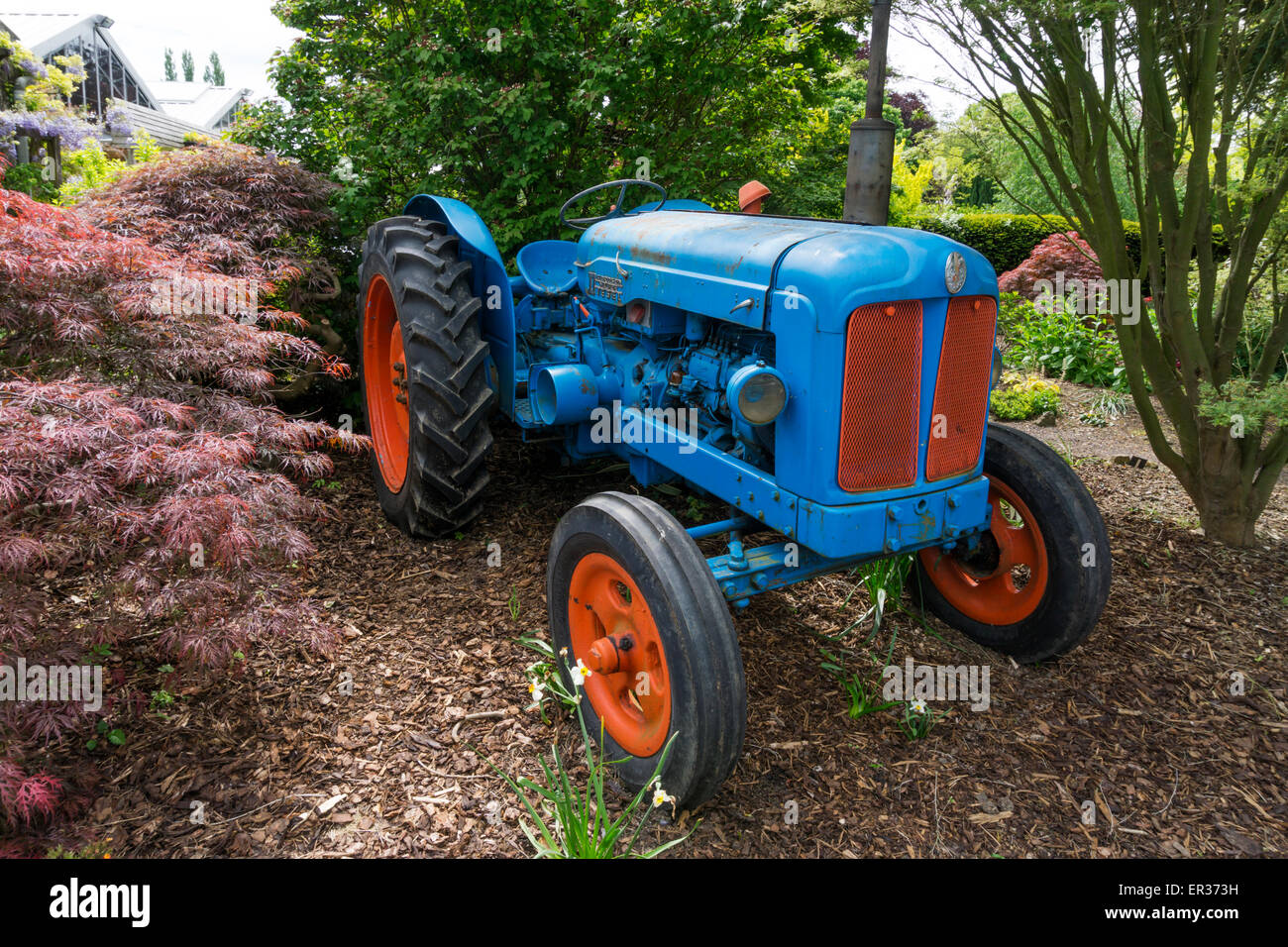 Un vecchio Fordson Major Diesel trattore utilizzato come un giardino decorazione presso Coolings Garden center in Knockholt, Kent. Foto Stock
