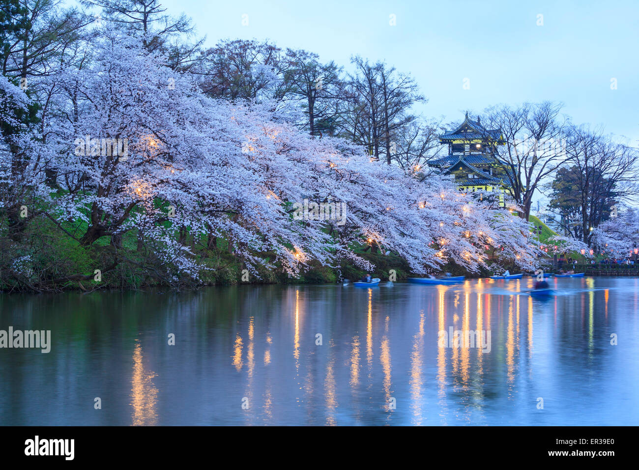 Luce di Takada Castello e fiori di ciliegio, Niigata, Giappone Foto Stock