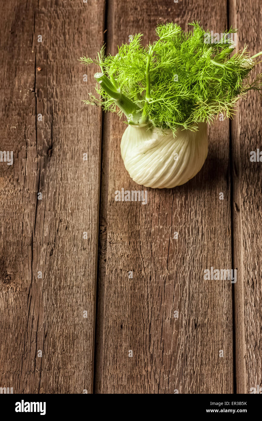 Finocchio fresco ricco di vitamine e fibre Foto Stock
