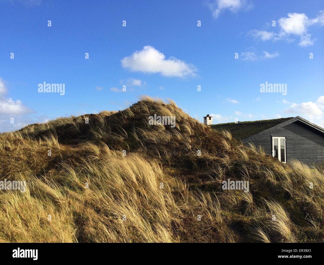 Summerhouse nascosti nelle dune, Fanoe, Danimarca Foto Stock