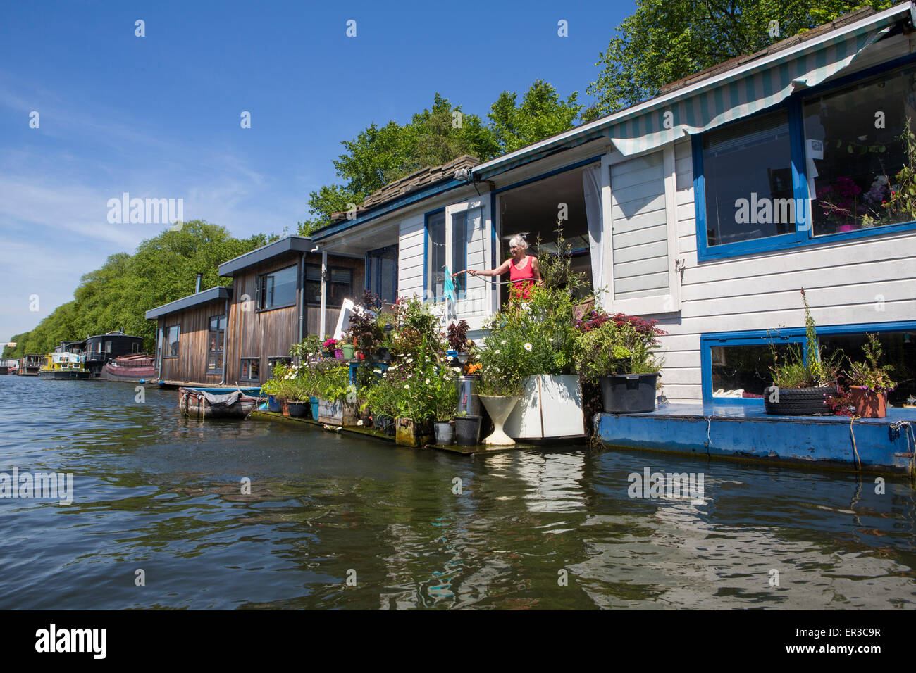 Donna olandese innaffiando le sue piante su una barca casa nel giardino di Amsterdam, giardinaggio, fiori, il verde della vegetazione, ricreazione Foto Stock