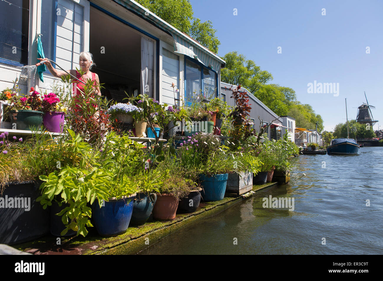 Donna olandese innaffiando le sue piante su una barca casa nel giardino di Amsterdam, giardinaggio, fiori, il verde della vegetazione, ricreazione Foto Stock