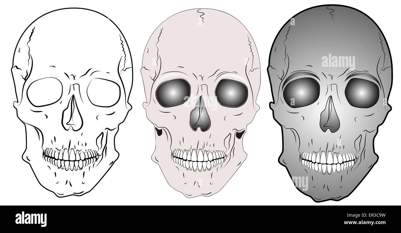 Vari teschi - vettore Illustrazione Vettoriale