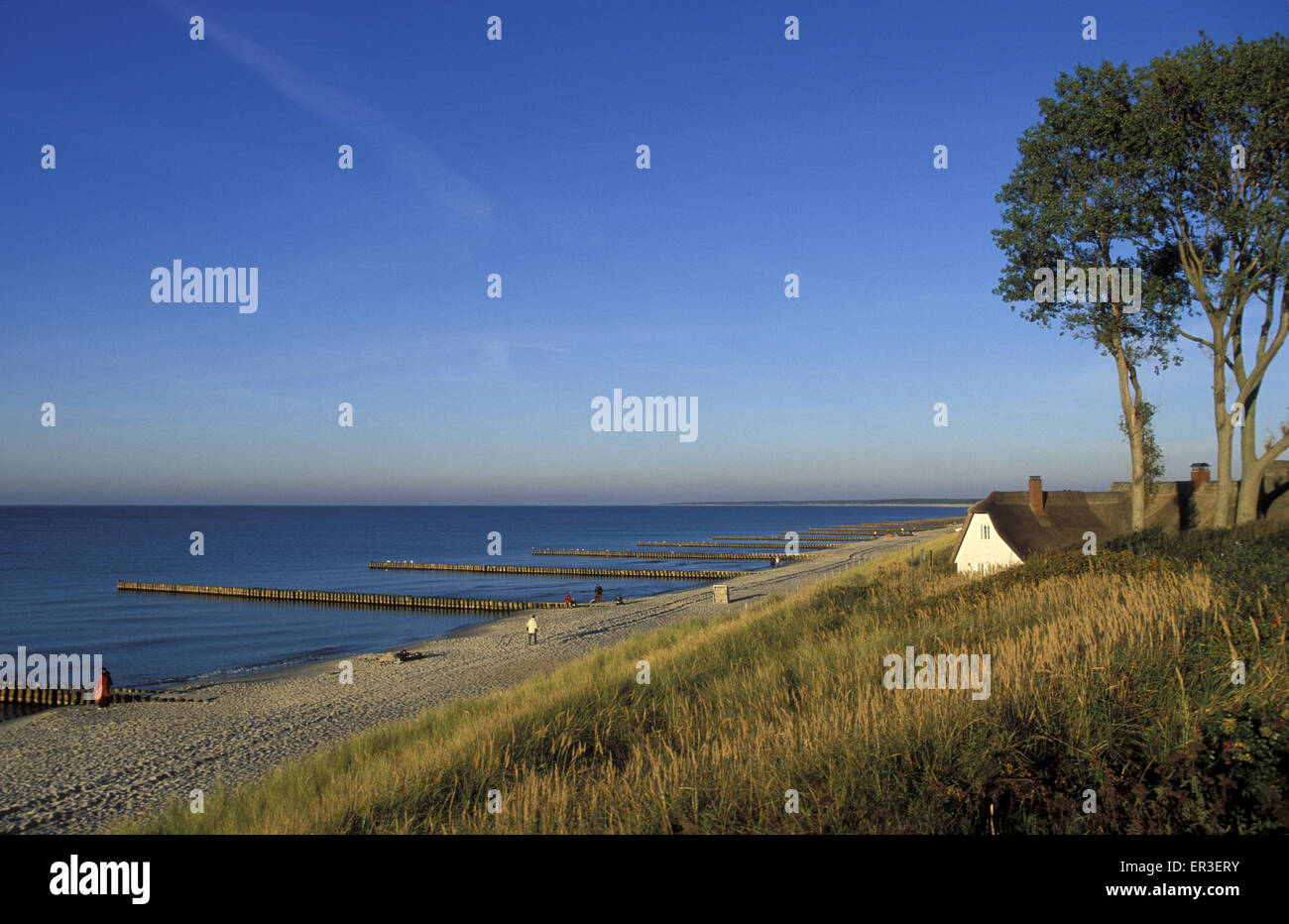 DEU, Germania, Meclemburgo-Pomerania, Ahrenshoop presso il Mar Baltico, casa sulla spiaggia. DEU, Deutschland, Mecklenburg-Vo Foto Stock