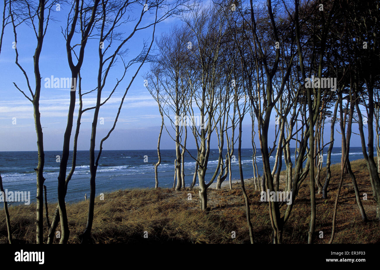 15 Aprile 2024, Meclemburgo-Pomerania Occidentale, Stralsund: Veduta - Foto 10