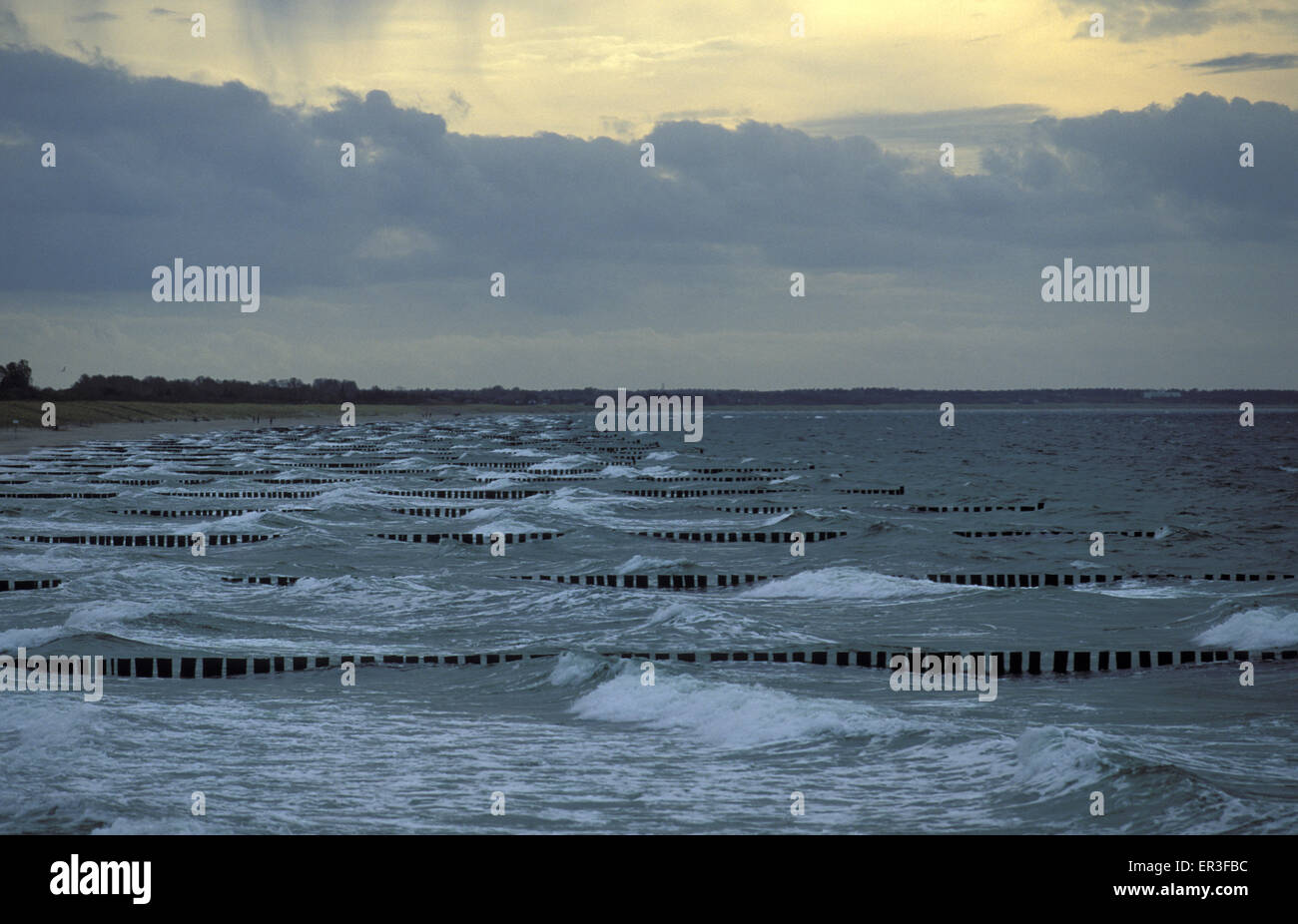 DEU, Germania, Meclemburgo-Pomerania, Wustrow presso il Mar Baltico e la spiaggia con inguine. DEU, Deutschland, Mecklenburg-Vo Foto Stock