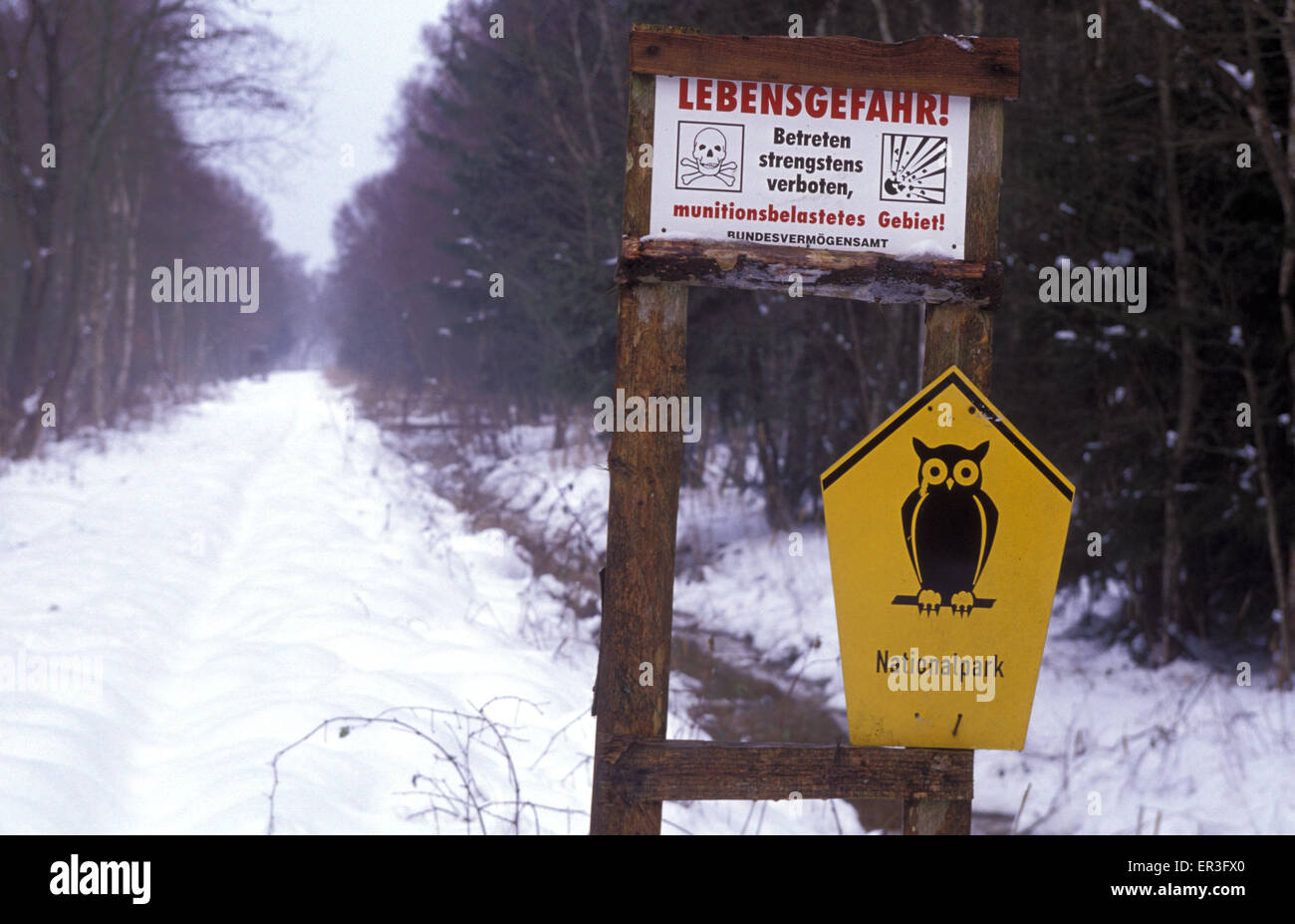 DEU, Germania, Meclemburgo-Pomerania, Nationalpark Vorpommersche Boddenlandschaft, la penisola di Zingst sul Mar Baltico Foto Stock