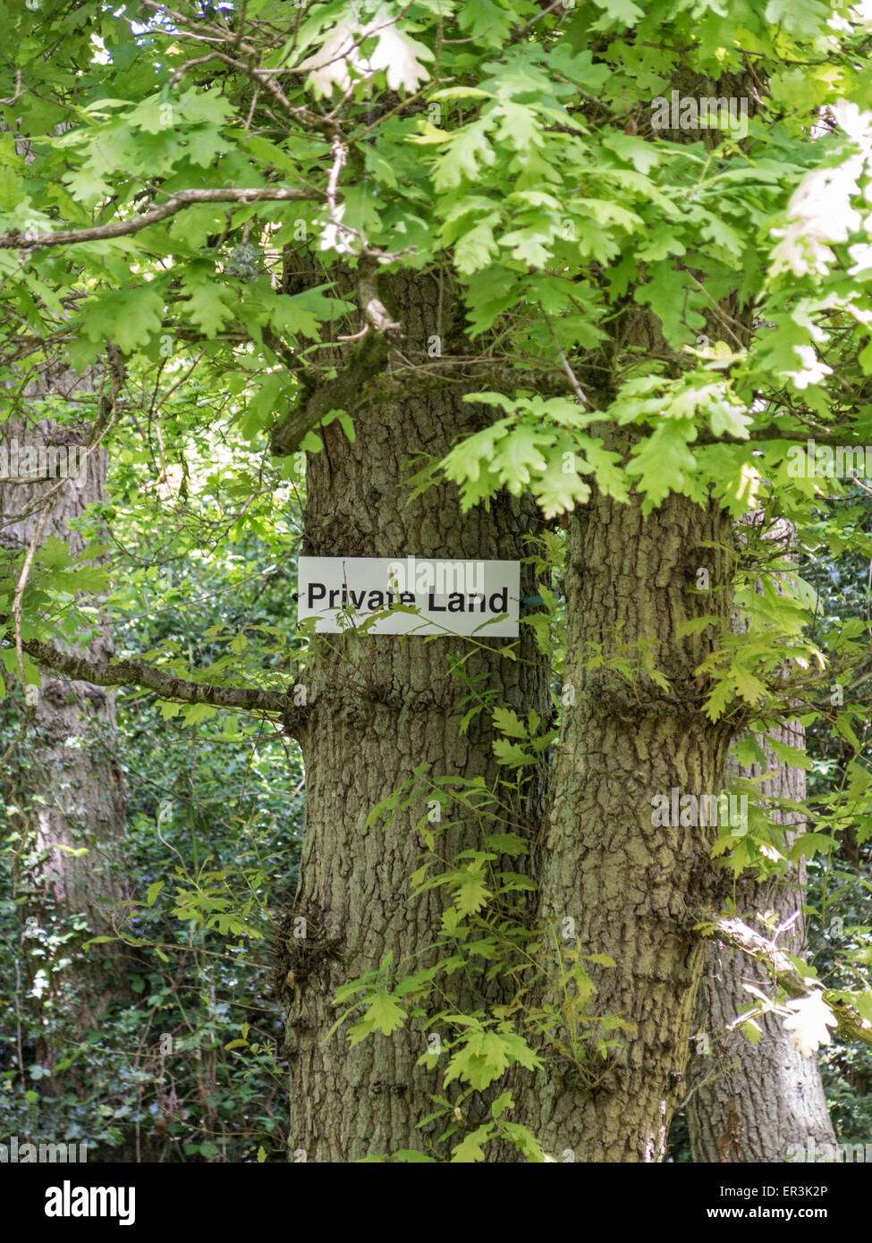 Terreno privato segno, Surrey, Inghilterra Foto Stock