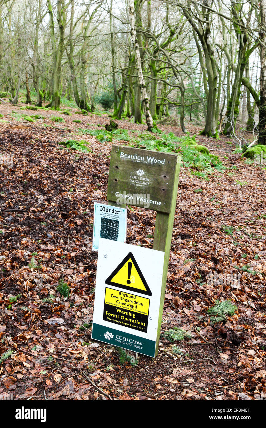 Un cartello in legno Beaulieu Monmouth Galles REGNO UNITO Welsh woodland trust o coed cadw Foto Stock