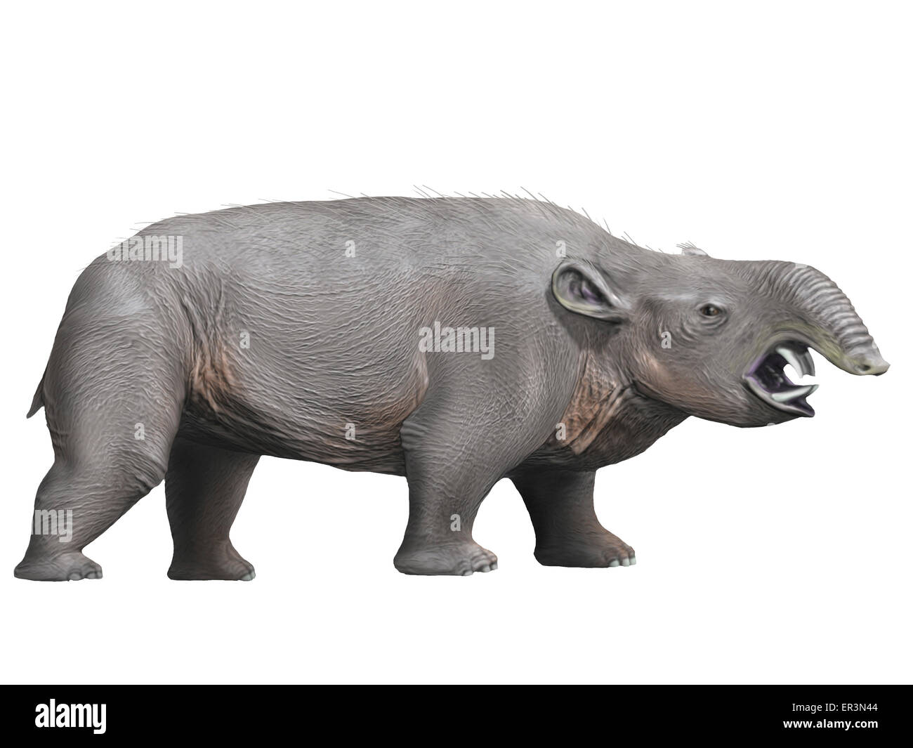 Pyrotherium è un ungulato estinto dall'Oligocene epoca di Argentina. Foto Stock