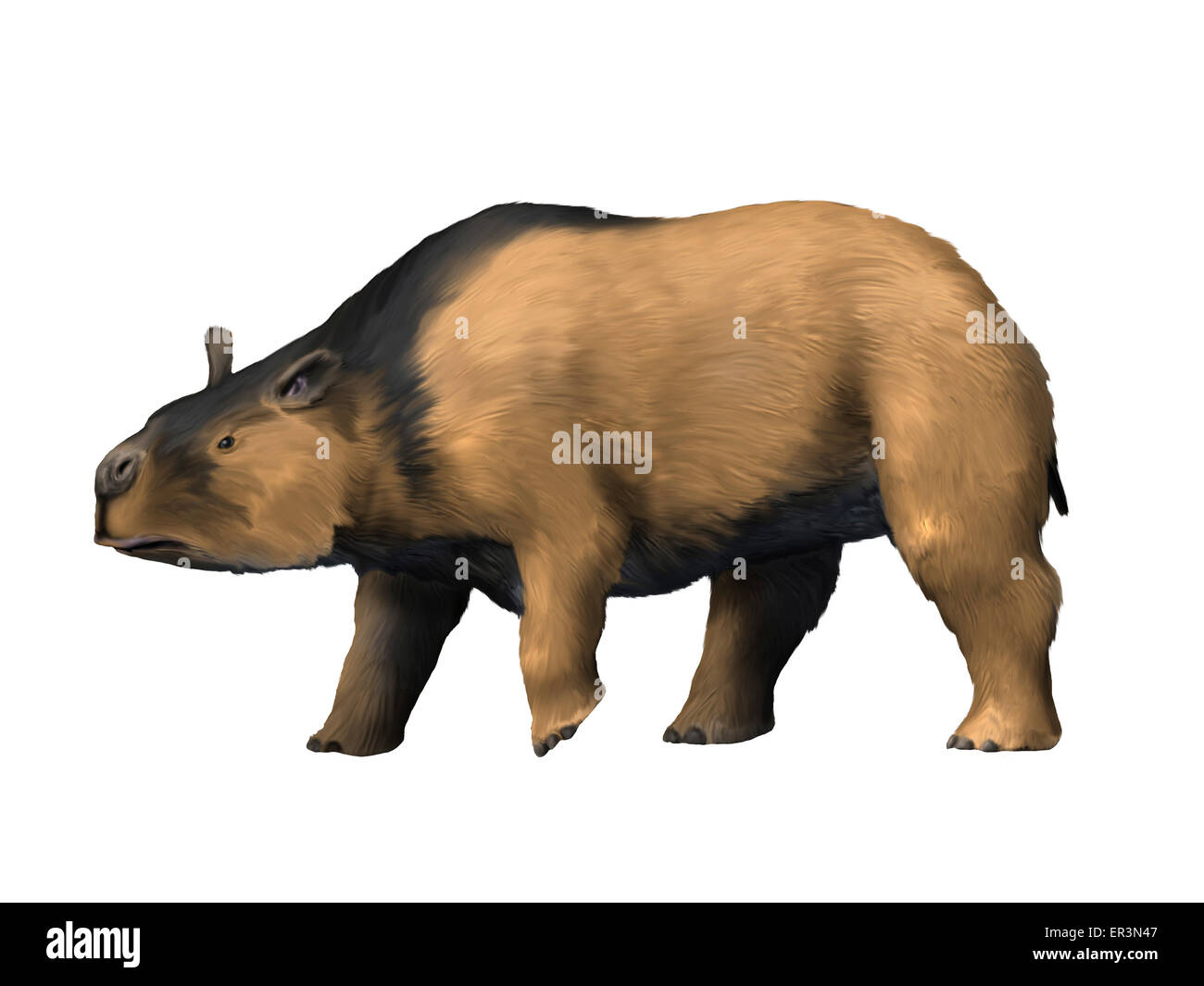 Toxodon è un mammifero estinto dal Pleistocene epoch del Sud America. Foto Stock