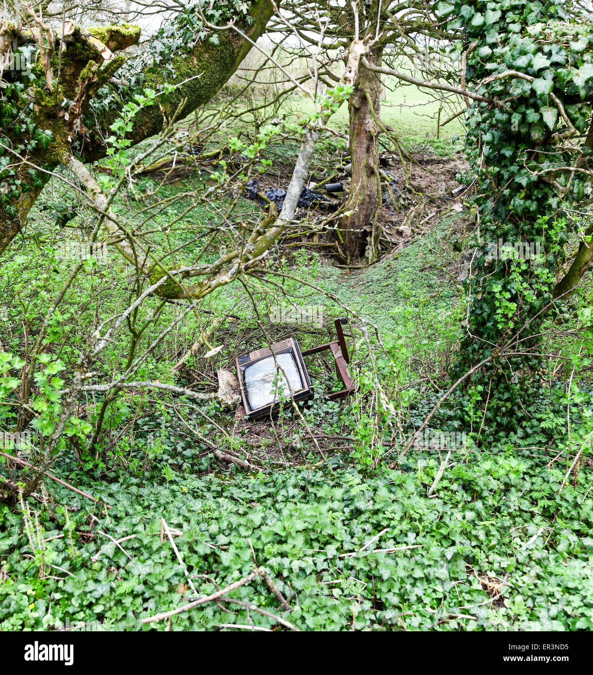 Un abbandonato televisore oggetto di dumping in un legno Derbyshire England Regno Unito Foto Stock