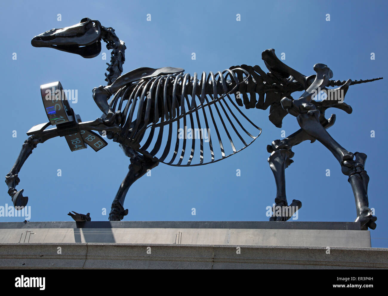 Cavallo regalo da Hans Haacke sul quarto zoccolo in Trafalgar Square, Londra Foto Stock