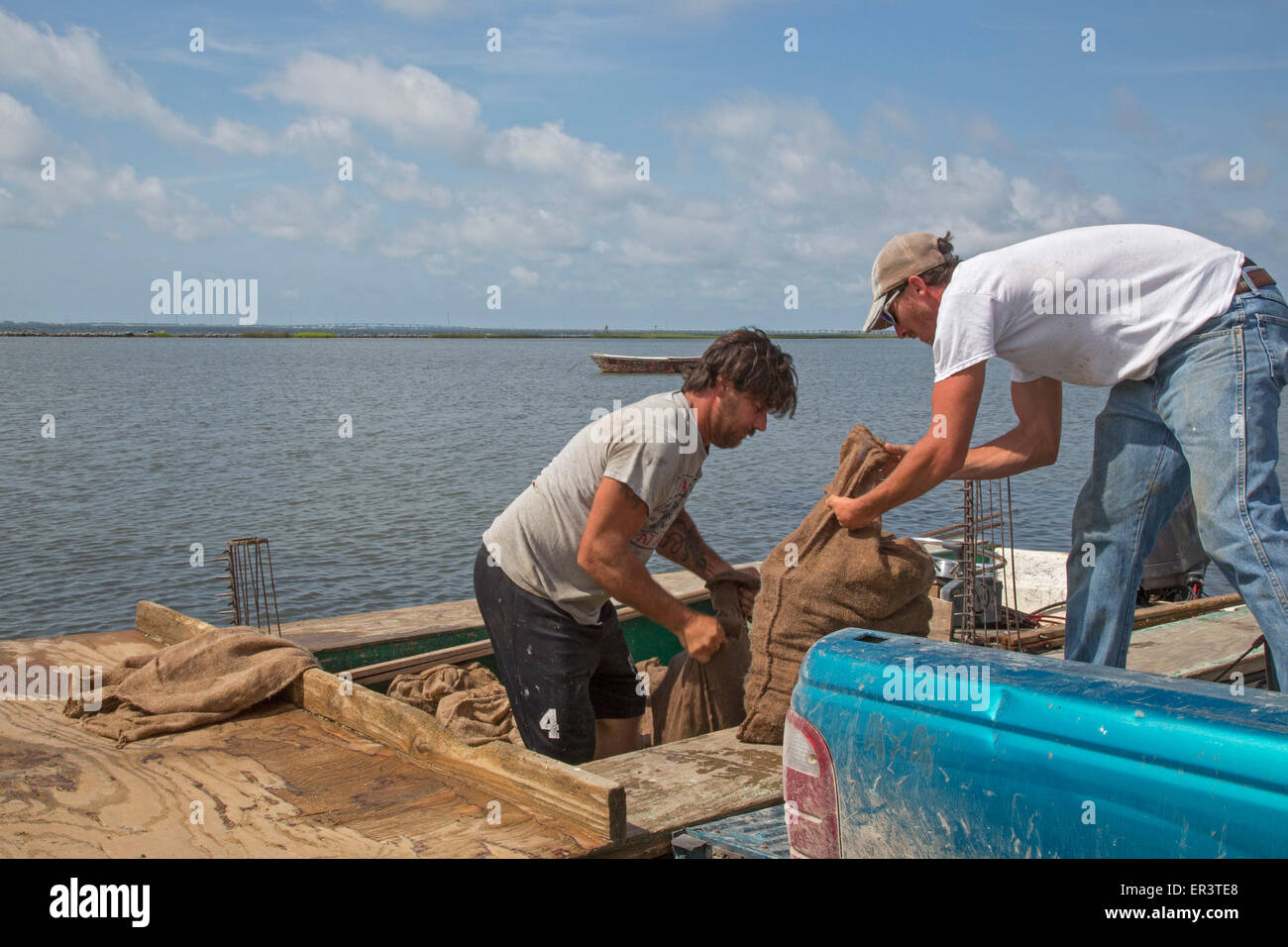 Eastpoint, Florida - Oystermen scaricare 60-pound sacchetti di raccolti di fresco ostriche al barbiere di frutti di mare. Foto Stock