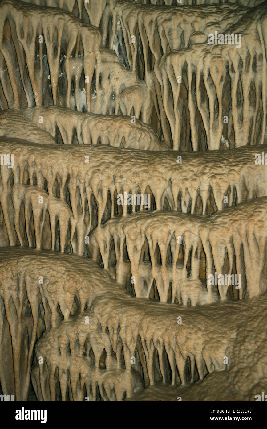Modello di stalagtites, Lehman Grotta, Parco nazionale Great Basin, Nevada Foto Stock
