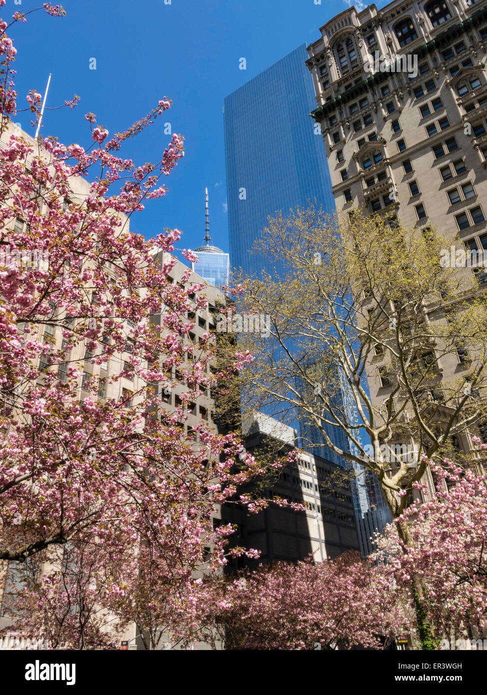 Vista la primavera verso l'alto dalla Chiesa della Trinità cimitero, NYC Foto Stock