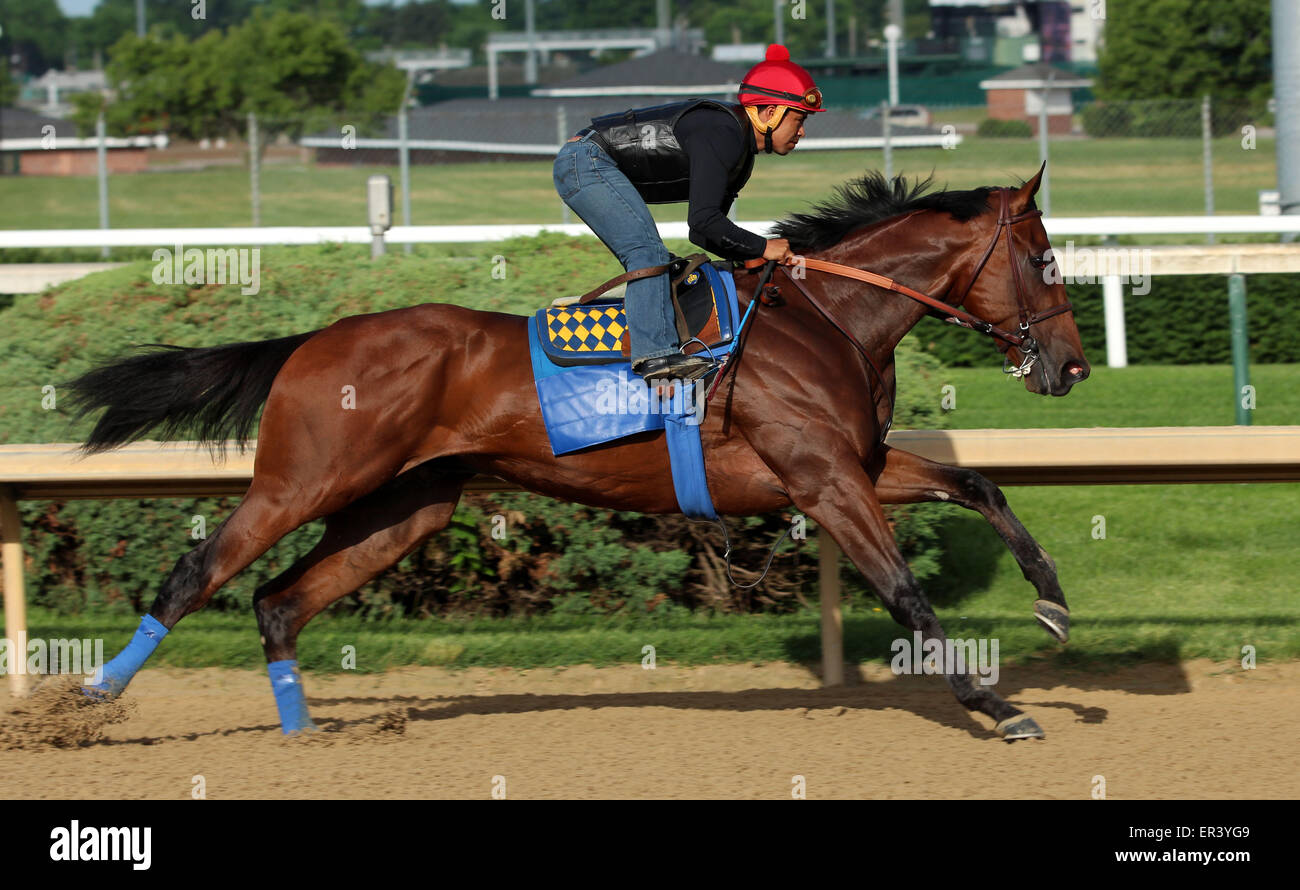 Louisville, KY, Stati Uniti d'America. 26 Maggio, 2015. Maggio 26, 2015 American Faraone (cavalcato da Martin Garcia) breezed quattro furlongs in :48, il quinto più veloce di 22 opere che la mattina. I suoi gruppi sono stati :12.2, :24.0, :35,8, con 4F in :48 piana. Egli galoppò fuori 5 furlongs in 1:00.4 e 6 furlongs in 1:13.2. Egli vola a New York il 2 giugno. Credito: Maria M. Meeke/ESW/CSM/Alamy Live News Foto Stock