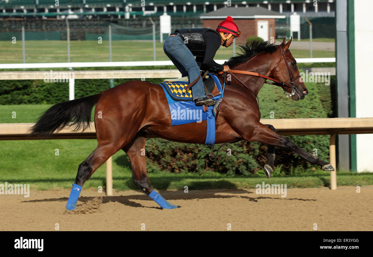 Louisville, KY, Stati Uniti d'America. 26 Maggio, 2015. Maggio 26, 2015 American Faraone (cavalcato da Martin Garcia) breezed quattro furlongs in :48, il quinto più veloce di 22 opere che la mattina. I suoi gruppi sono stati :12.2, :24.0, :35,8, con 4F in :48 piana. Egli galoppò fuori 5 furlongs in 1:00.4 e 6 furlongs in 1:13.2. Egli vola a New York il 2 giugno. Credito: Maria M. Meeke/ESW/CSM/Alamy Live News Foto Stock