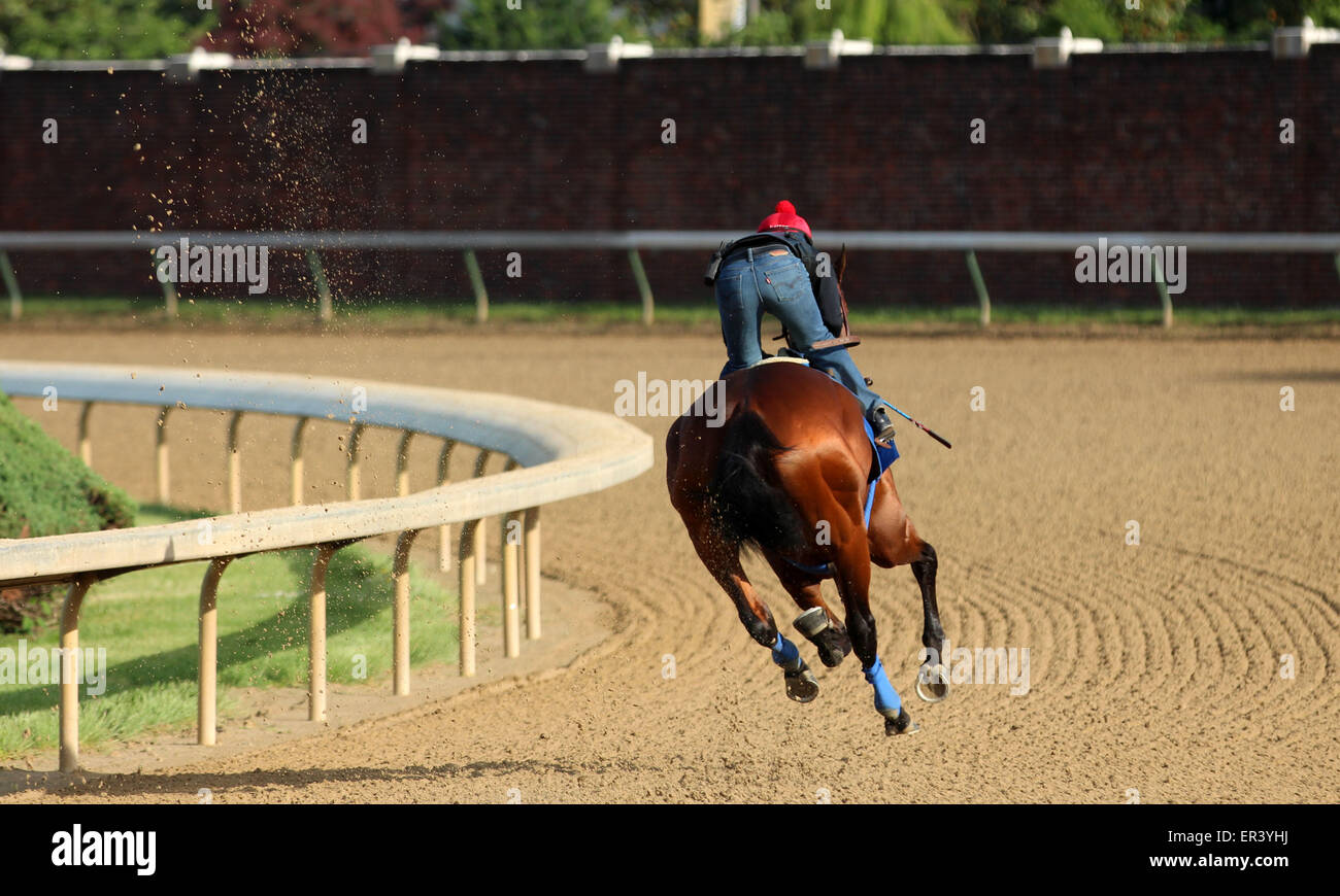 Louisville, KY, Stati Uniti d'America. 26 Maggio, 2015. Maggio 26, 2015 American Faraone (cavalcato da Martin Garcia) breezed quattro furlongs in :48, il quinto più veloce di 22 opere che la mattina. I suoi gruppi sono stati :12.2, :24.0, :35,8, con 4F in :48 piana. Egli galoppò fuori 5 furlongs in 1:00.4 e 6 furlongs in 1:13.2. Egli vola a New York il 2 giugno. Credito: Maria M. Meeke/ESW/CSM/Alamy Live News Foto Stock