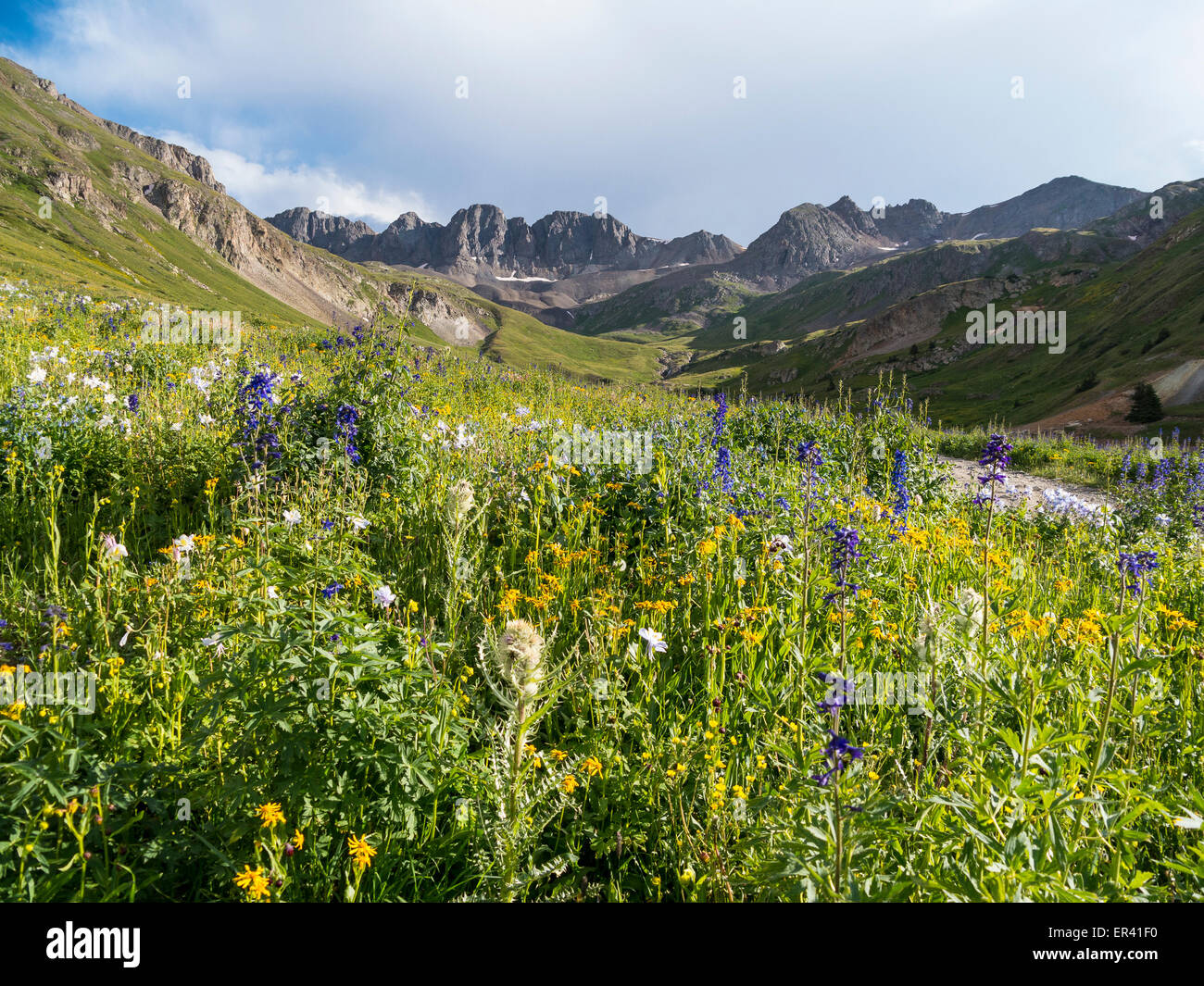 American bacino, cannella Pass Road, Alpine Loop, Colorado. Foto Stock