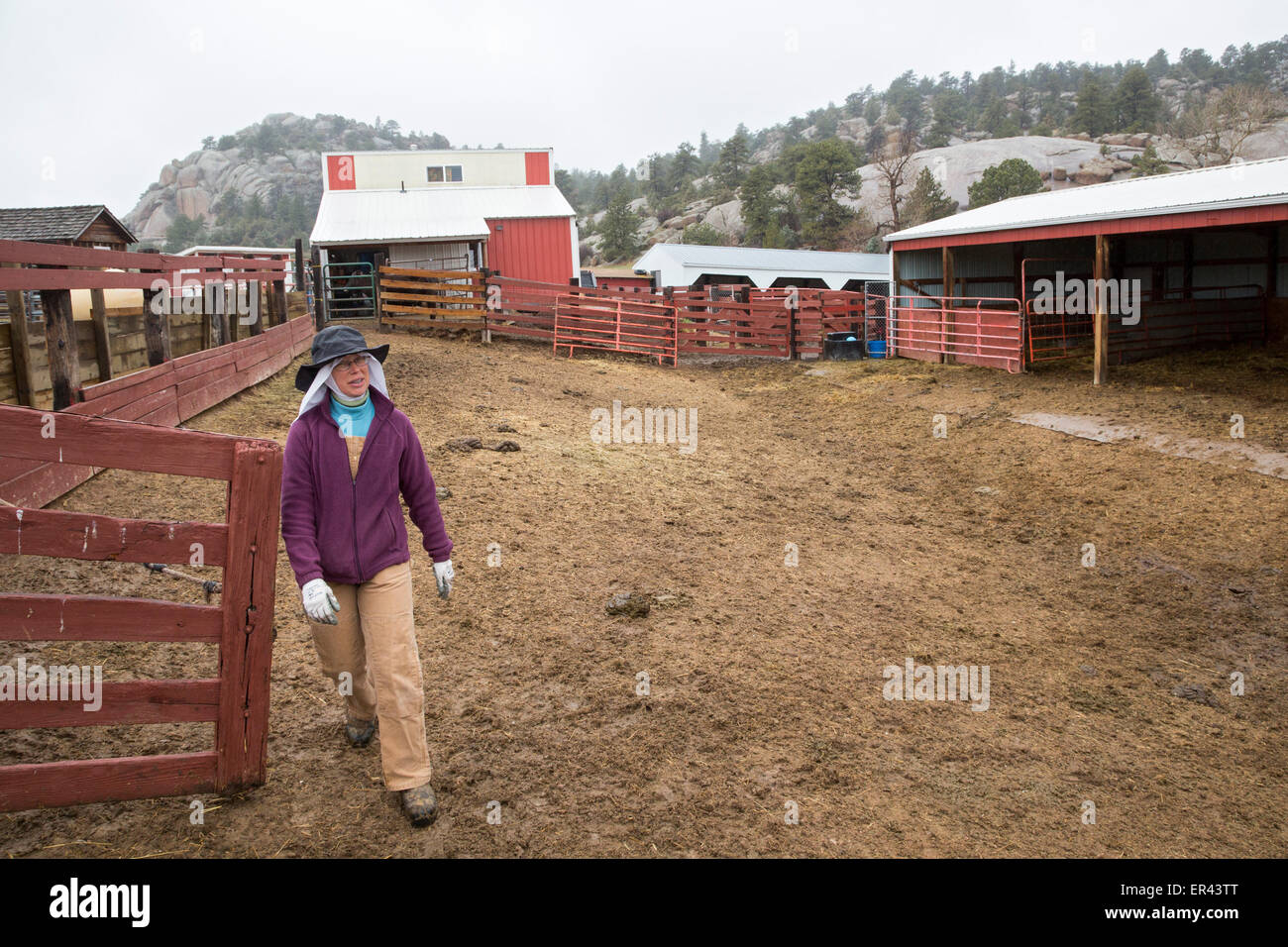 Virginia Dale, Colorado - Abbazia di San Walburga, dove le suore Domenicane pregare ed eseguire un ranch di bestiame. Foto Stock