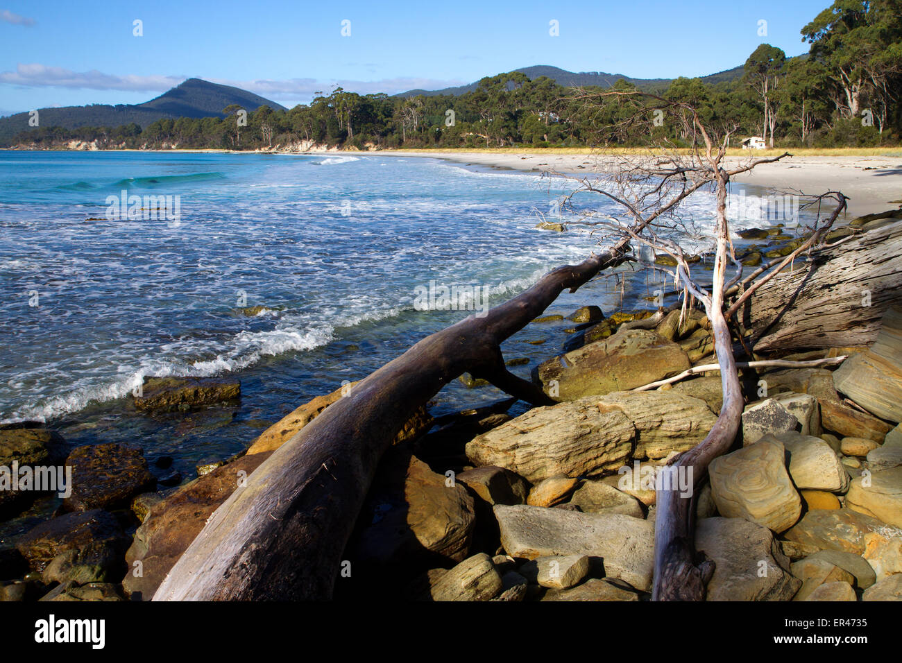Spiaggia di Adventure Bay sull'Isola di Bruny Foto Stock