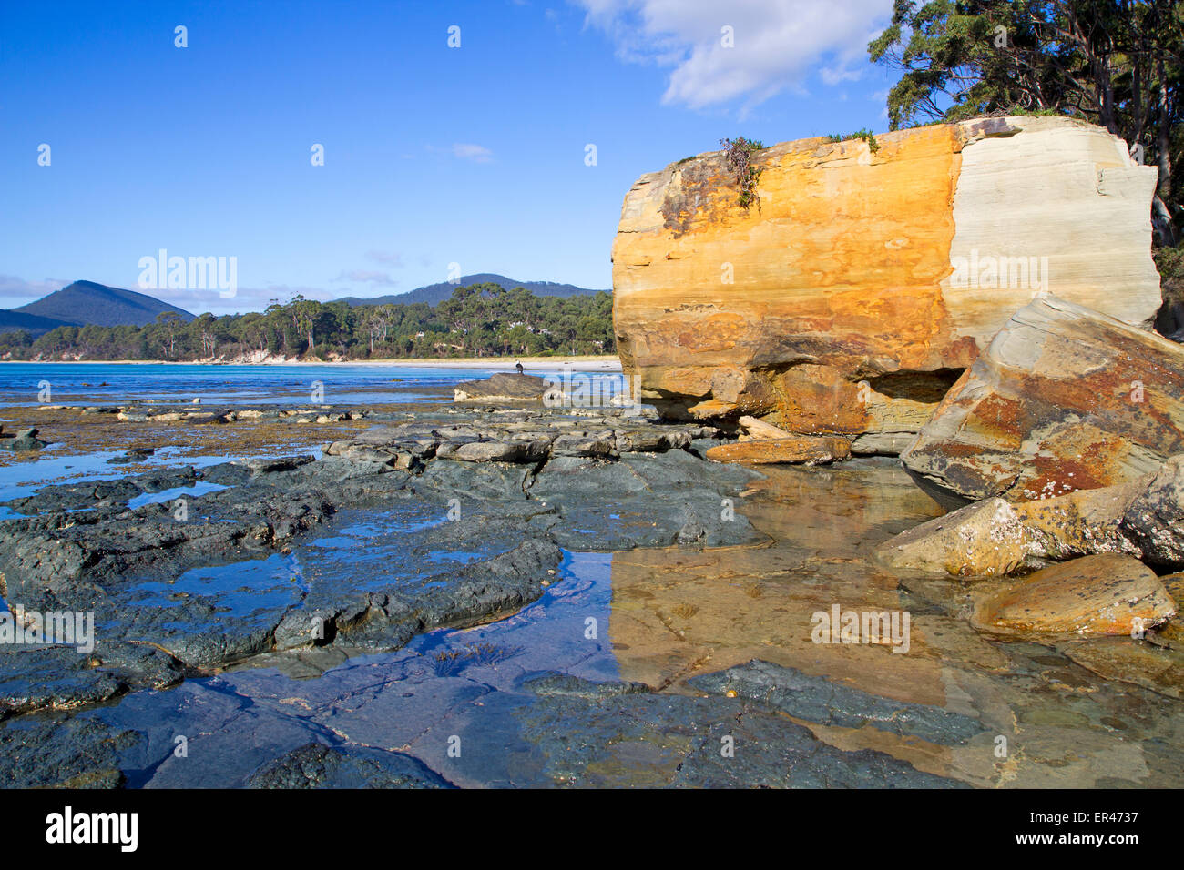 Massi di arenaria sulla costa di Adventure Bay Foto Stock