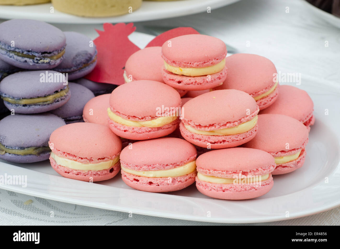 Blu e rosa macarons sulla piastra bianca Foto Stock