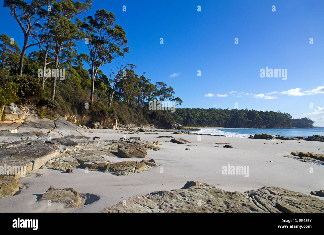 Due Tree punto su Adventure Bay Foto Stock