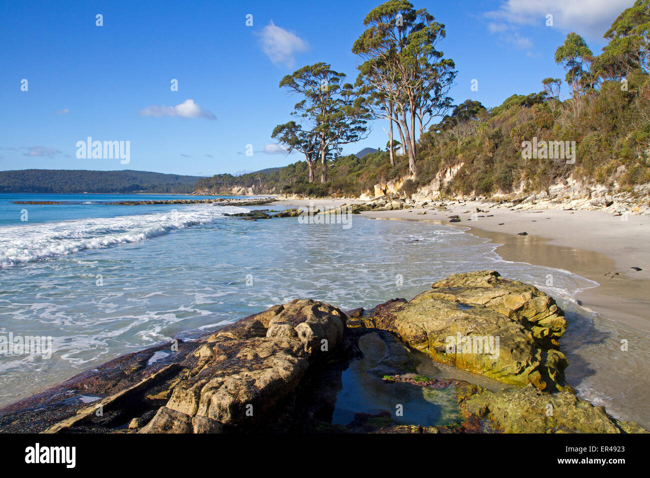 Due Tree punto su Adventure Bay Foto Stock