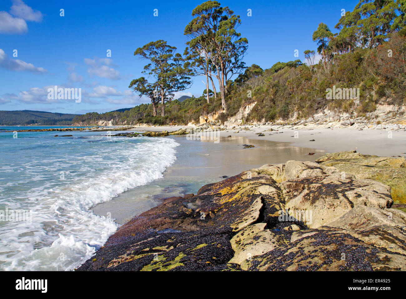 Due Tree punto su Adventure Bay Foto Stock