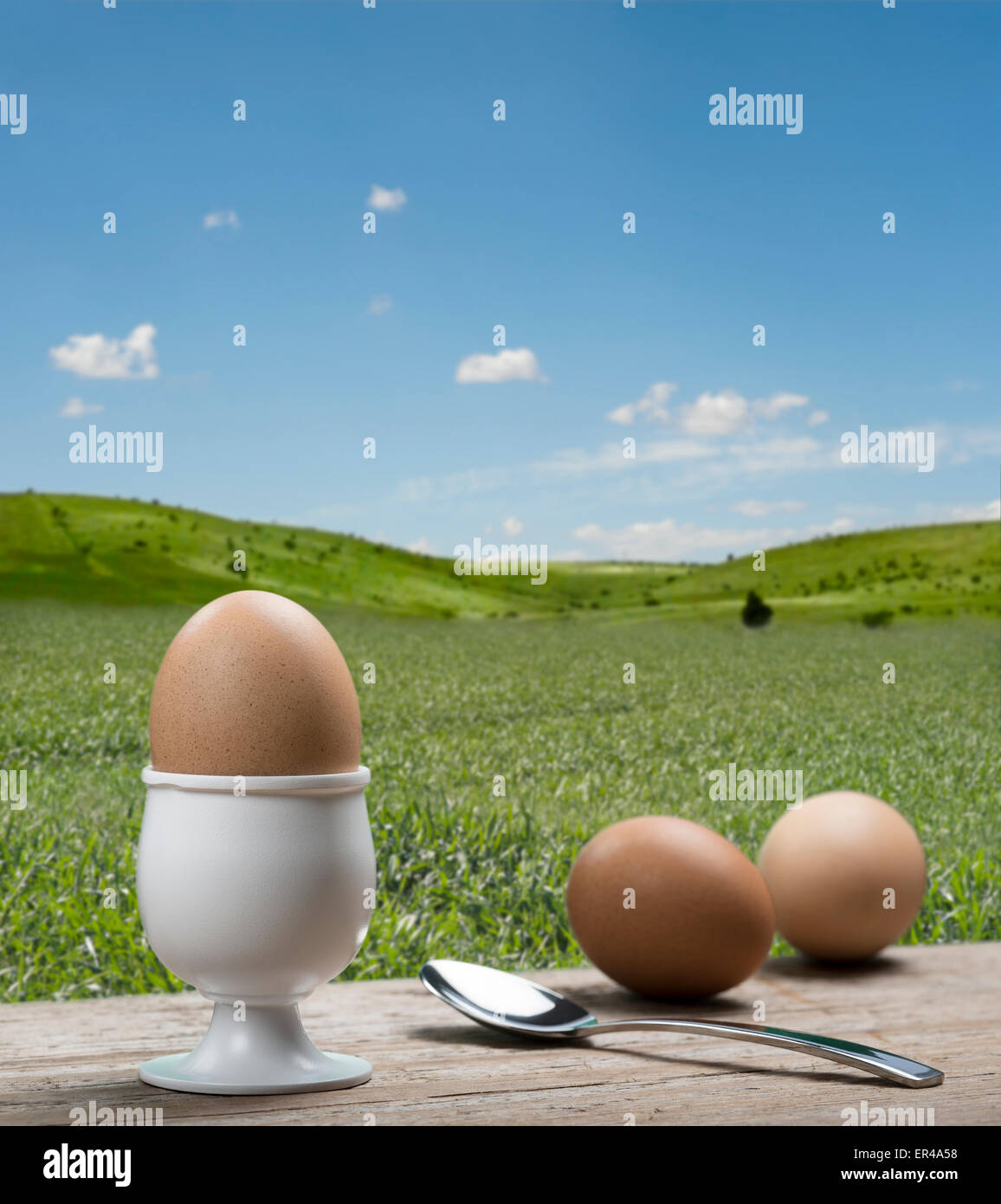 Eggcup con cucchiaino e uova sode o su un tavolo di legno con paesaggio estivo Foto Stock