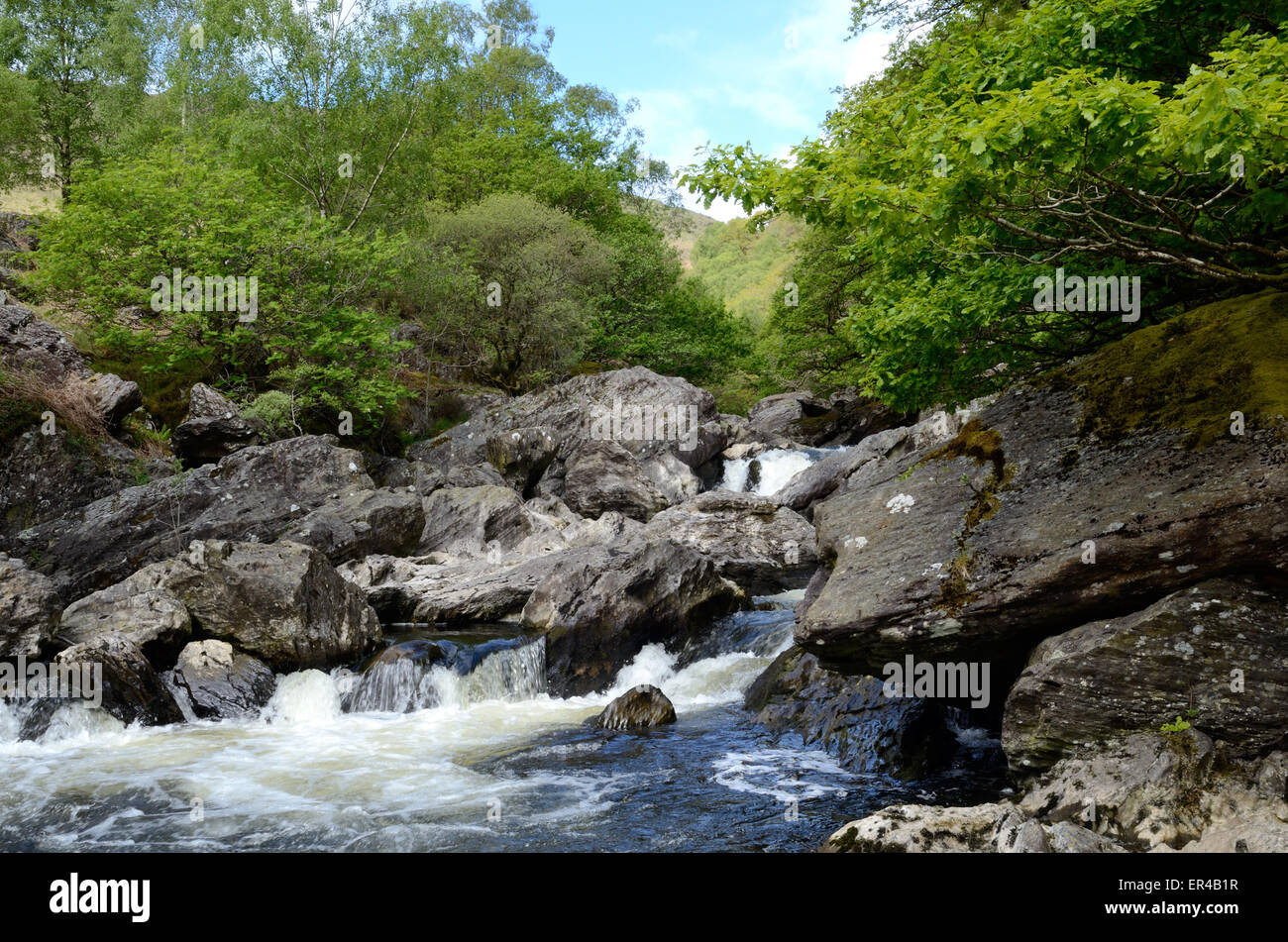 Veloce che scorre il fiume Towy cascading su massi di pietra Dinas RSPB Riserva Naturale Rhandirmwyn Carmarthenshire Galles Foto Stock